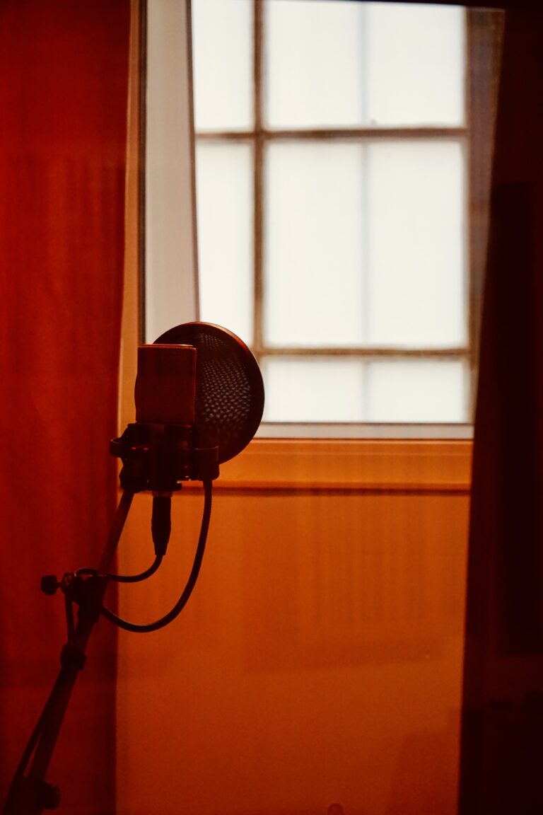 Vocal Aufnahme im Booth im Plank-Tonstudio Wien