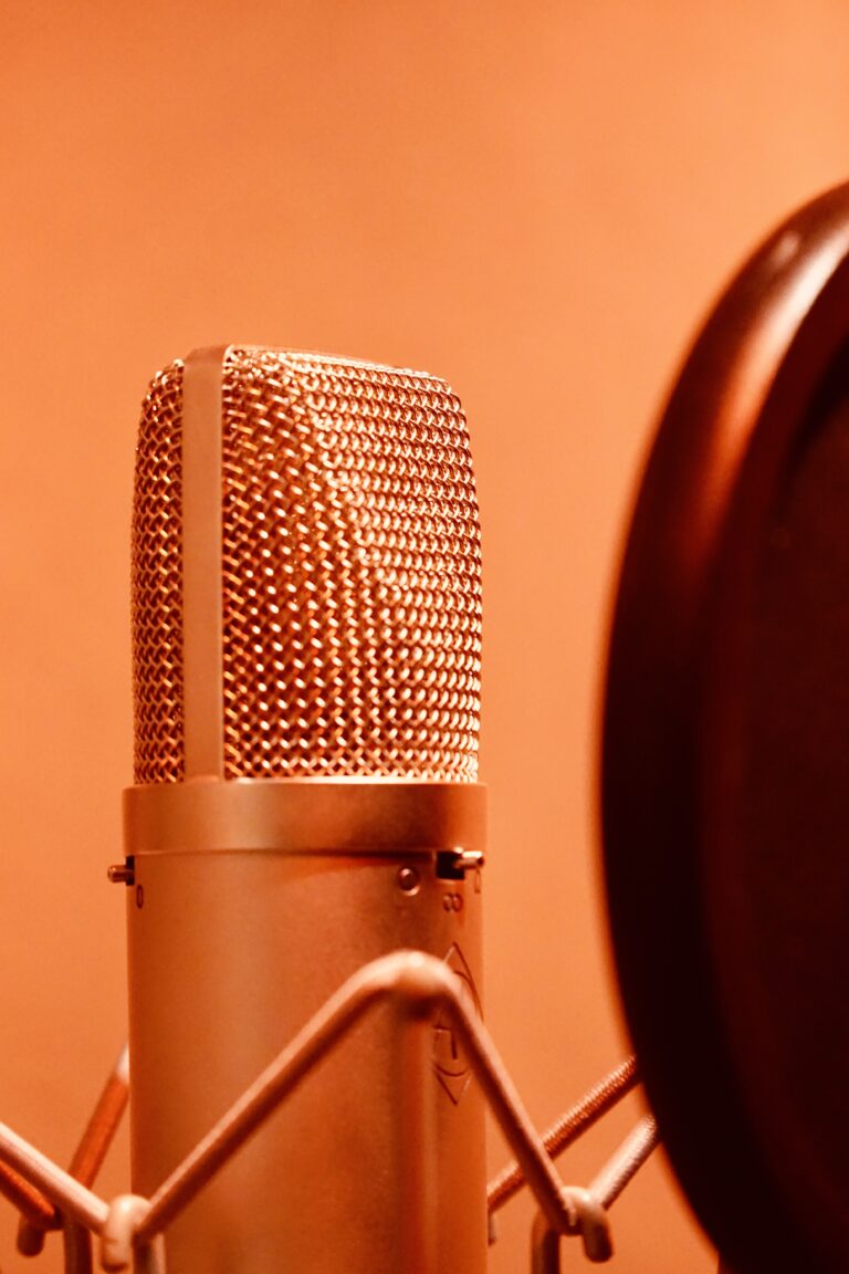 Vocal Aufnahme im Booth mit einem U87 Style Mikrofon im Plank-Tonstudio Wien