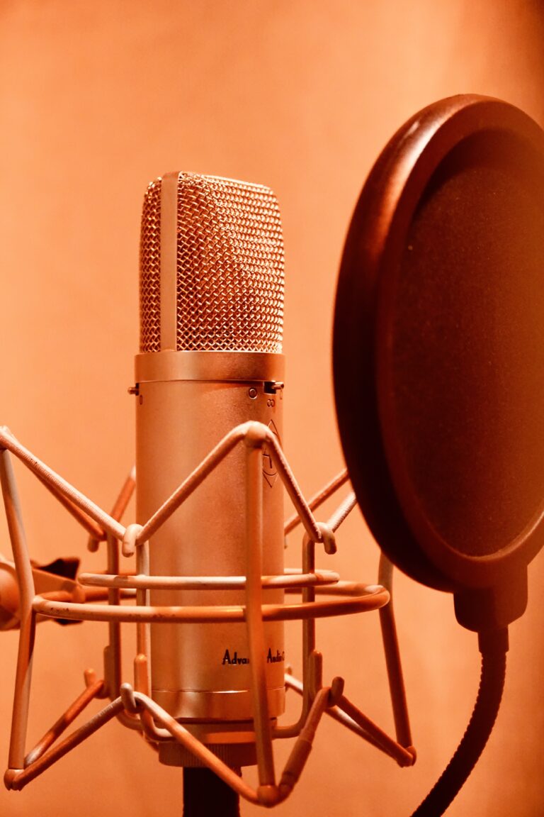 Vocal Aufnahme im Booth mit einem U87 Style Mikrofon im Plank-Tonstudio Wien