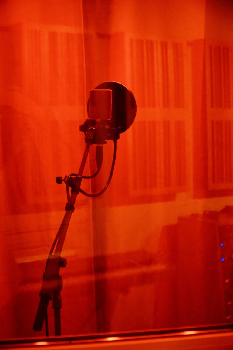 Vocal Aufnahme im Booth im Plank-Tonstudio Wien
