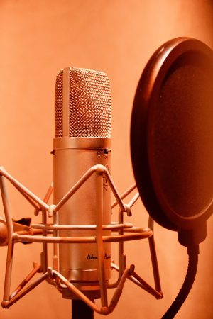 Vocal Aufnahme im Booth mit einem U87 Style Mikrofon im Plank-Tonstudio Wien